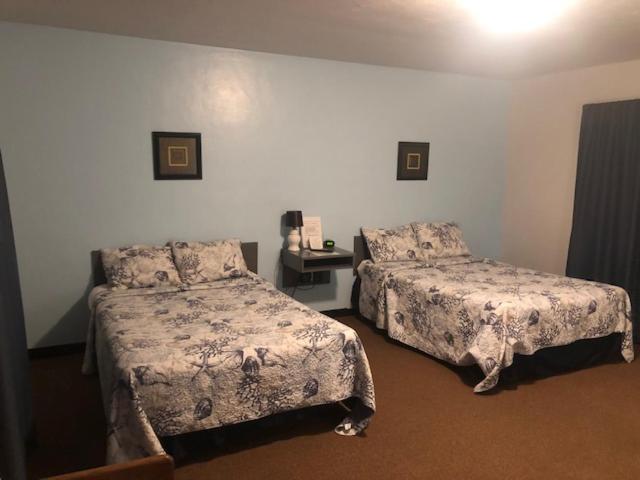 Cindy'S Motel & Rv Park Mayo エクステリア 写真